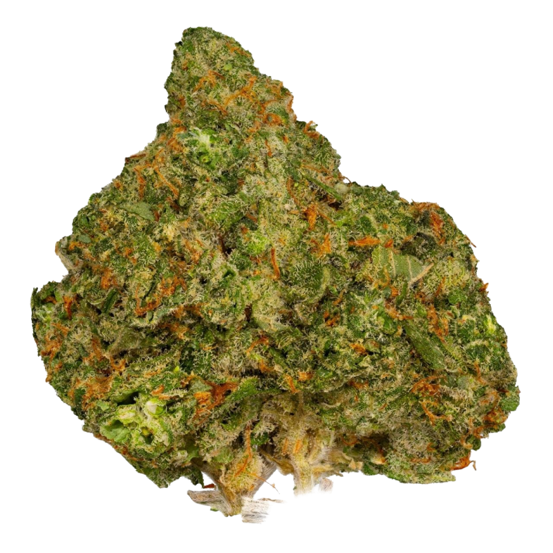 MAC