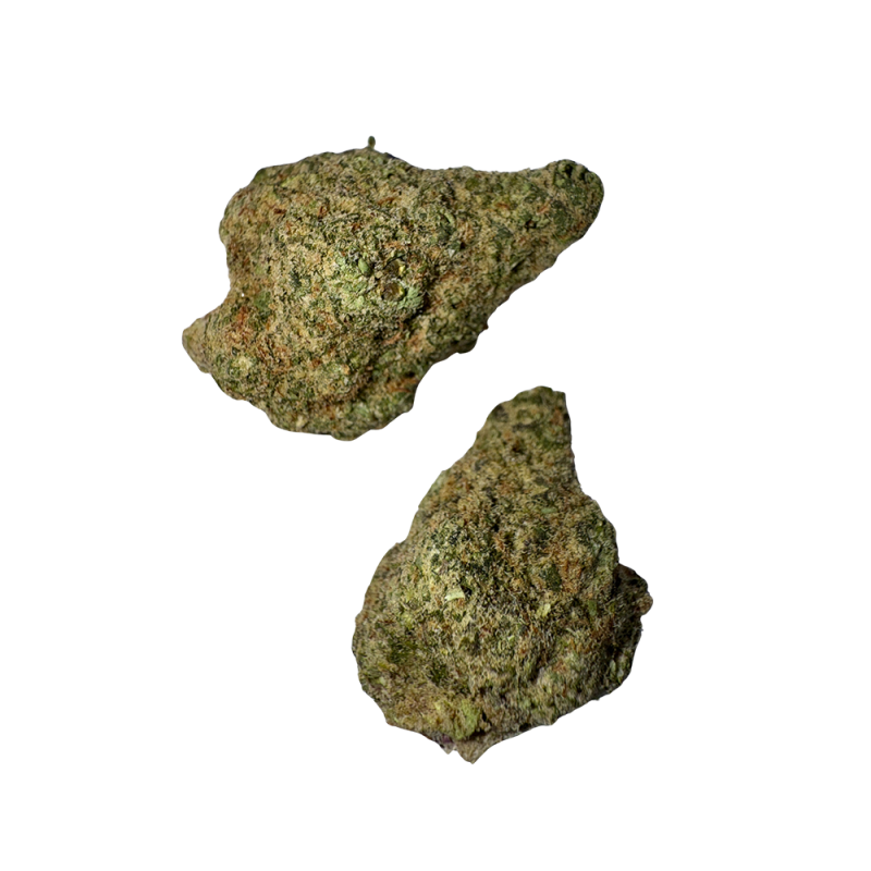 Cocolate - Image 2