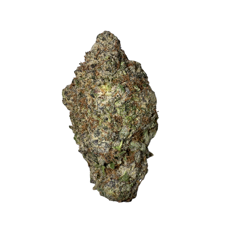 Gelato