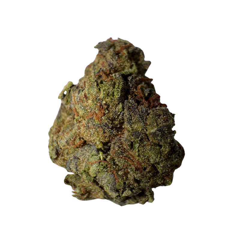 Tropical Cherry