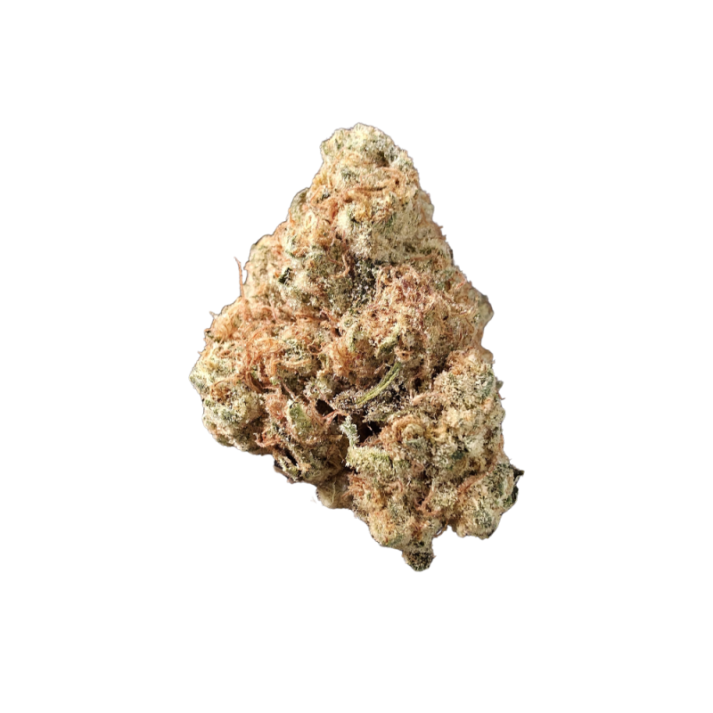 Mimosa