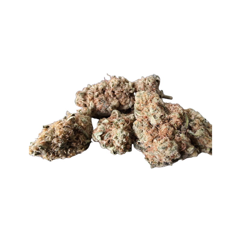 Mimosa - Image 2