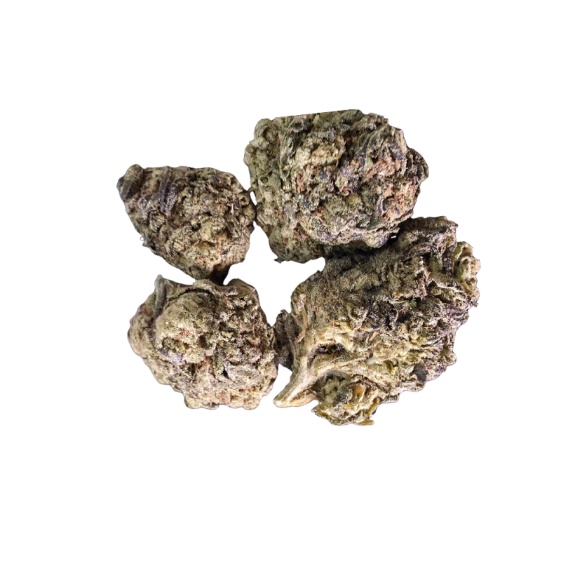 Mochi - Image 2