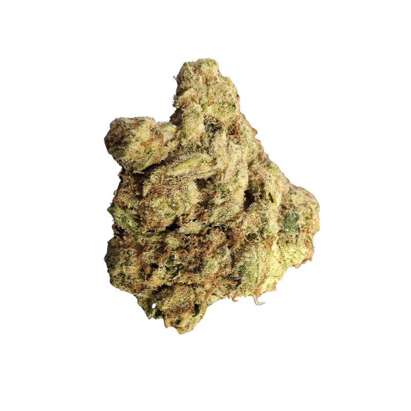 Northern Lights