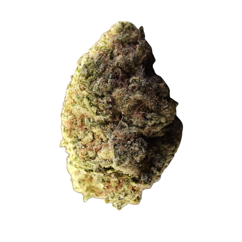Orange Cookies