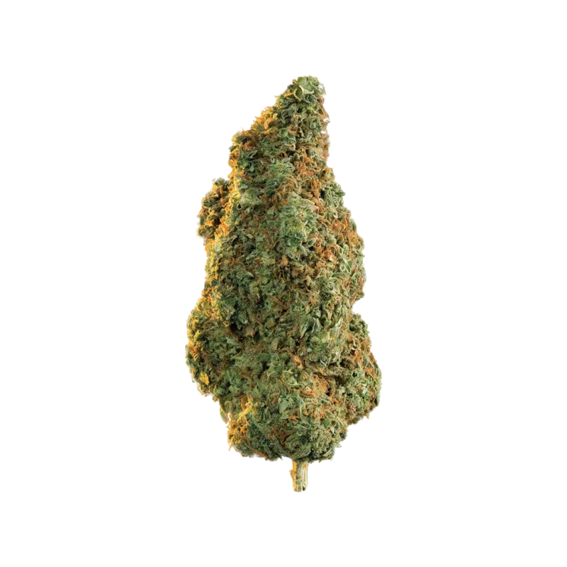 Gorilla Glue #4