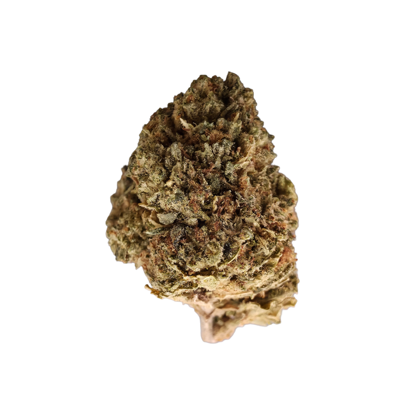 Candy Cane