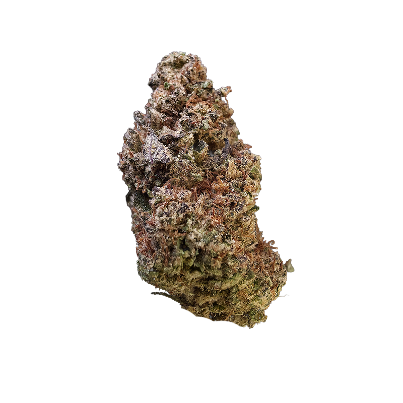 Gelato #41